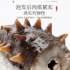 【福东海】海参100克（80头）/盒 FDH01010711