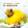 【福东海】刺梨原浆600毫升/盒（50毫升*12） FDH08010020