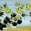 【福东海】黑枸杞520克（10克*52袋）/盒 FDH01010908
