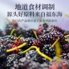 【福东海】桑椹膏 150g 瓶装fdhss150g