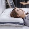 杉杉家纺决明子磁疗枕【单支装】SS-Z1016