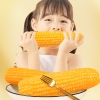燕之坊 有机黄糯玉米礼盒1.9kg 有机黄糯玉米棒*8根