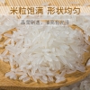 乐养优品五常大米么么哒5KG