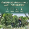良西农场潮州特产凤凰单丛茶（鸭屎香）礼袋款150g