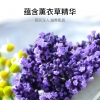 欧贝斯薰衣草清新净爽沐浴露2L
