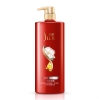 舒蕾山茶花莹亮滋养去屑洗发露800ml