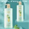 舒蕾绿茶籽控油去屑洗发露800ml