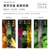 舒蕾奇焕精油修护发膜260ml