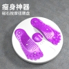 宏太（HongTai）扭腰盘扭腰机家用瘦腰健身器材女运动旋转扭扭机 浅紫色