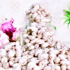 疆果乐疆果果酸奶益生菌葡萄干150g