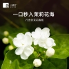 小罐茶园 小罐茶 大师系列&middot;茉莉花茶10罐装（金罐）4.0版A40g