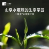 小罐茶园 小罐茶 银罐系列&middot;金骏眉红茶10罐装 40g
