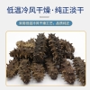 江鲜森国标&middot;生态淡干海参5980款 500g（50-55头）