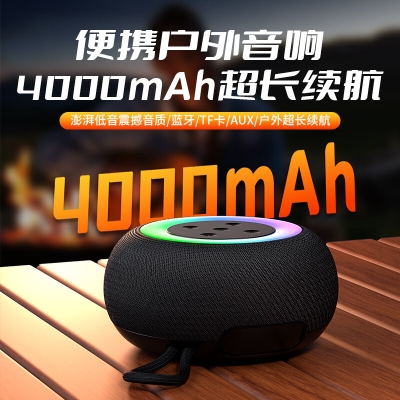 塞尔兰斯-蓝牙音箱	户外大功率蓝牙音响（型号：G25）