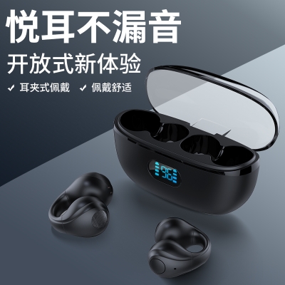 塞尔兰斯（Sayrelances）创新不入耳真无线耳机（型号：G8）