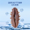 北京同仁堂时光氧净制干海参特级180克 （121-150头）