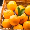 嗨果粒 赣南脐橙优选5斤 上架时间11月15日下架时间2月28日
