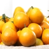 嗨果粒 融安脆蜜金柑优选4斤 上架时间11月1日下架时间2月28日