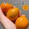 嗨果粒 融安滑皮金桔大果3斤 上架时间11月15日下架时间2月28日
