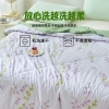 罗曼罗兰大豆水洗夏被 雅致花卉