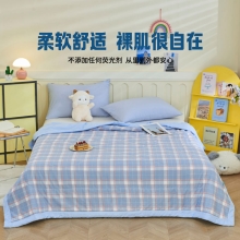 罗曼罗兰大豆水洗夏被 夏日清风