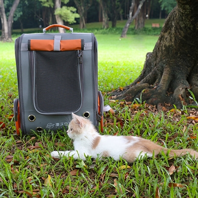 漫沃星系宠物户外背包MC-B202