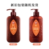 750ml霸王防脱丰盈头皮护理洗发液（电商）6940139248987