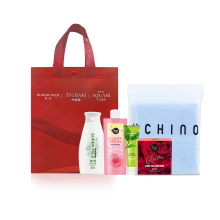 资生堂冬季套装 A型