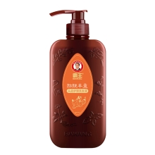 750ml霸王防脱丰盈头皮护理洗发液（电商）6940139248987